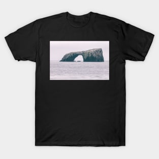 The Arch Rock T-Shirt